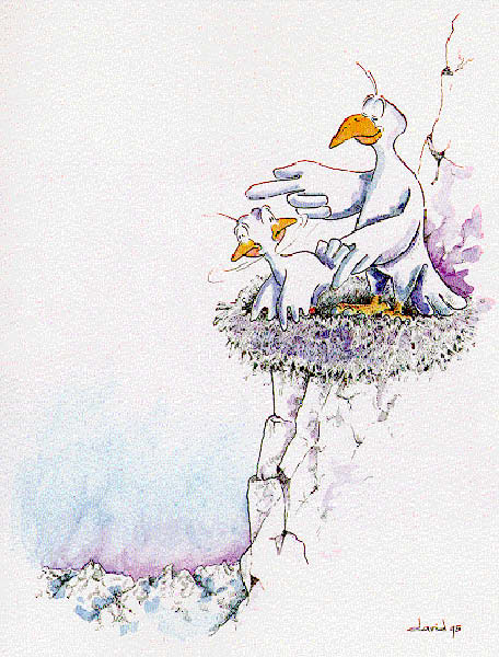 b-premier envol-humourenvrac